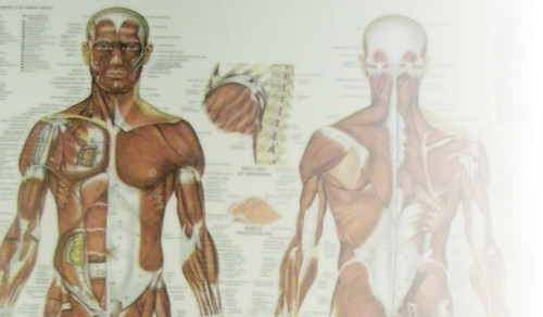 Sitemap for Jim Steven's Manual Therapy - Albuquerque, NM, Northeast Heights